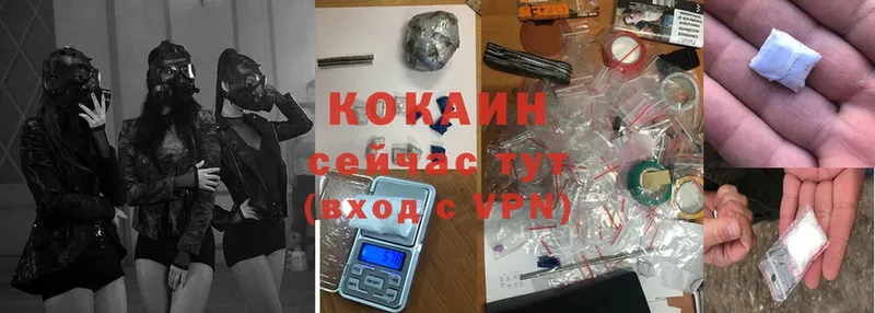 магазин продажи   Александровск-Сахалинский  COCAIN Колумбийский 